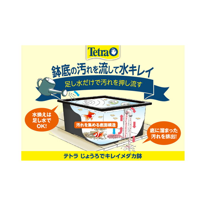 テトラ じょうろでキレイメダカ鉢 みかげ 丸３０