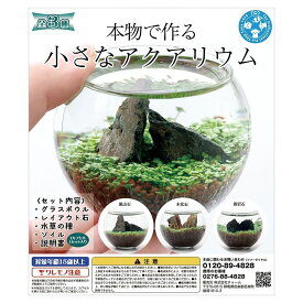 種類おまかせ　種から育てる　小さなアクアリウム　カプセルトイ　関東当日便