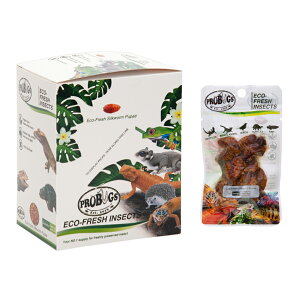 yzvoOY@^pbN@VN[匁@1i15g×10܁j{1܁@֓