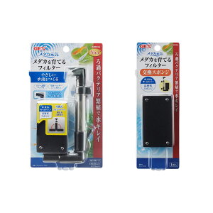 GEX@_JC@_JĂtB^[@pX|Wt@`40cmA[15`cm@֓