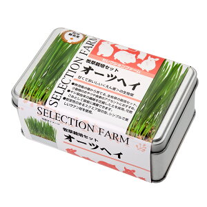 C[X^[@ZNVt@[@q͔|Zbg@I[cwC@֓