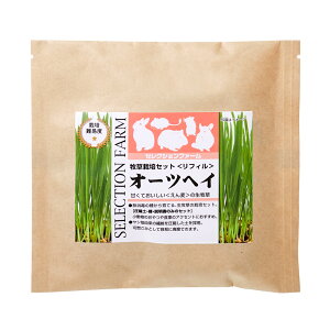 C[X^[@ZNVt@[@q͔|ZbgtB@I[cwC@֓