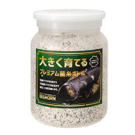 冷蔵★菌糸ビン　MIKUプレミアム菌糸ボトル　オオヒラタケ　800cc　別途クール手数料　常温商品同梱不可