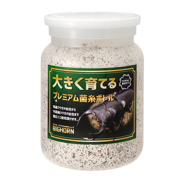 楽天市場】菌糸ビン MIKUプレミアム菌糸ボトル オオヒラタケ 