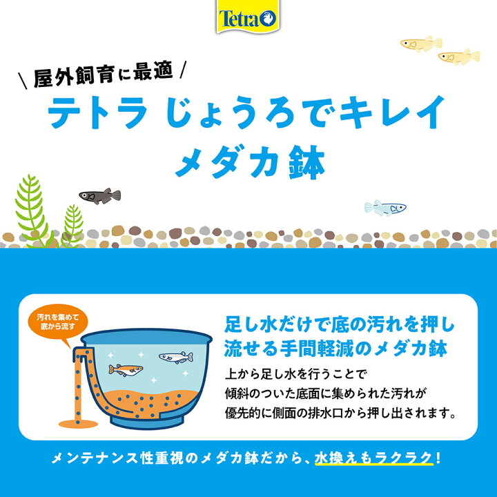 楽天市場 テトラ じょうろでキレイメダカ鉢 ２０ ３個 黒 水足しだけでお掃除簡単 めだか 水槽 関東当日便 Charm 楽天市場店