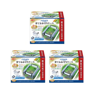 GEX@_JC@Ă邨P[X@3@t@uP[X@15×13D5×11D5cm@֓