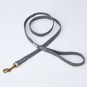 �y�e�B�I�@���p�����R�@�t���b�V���\�t�g���[�h�@S�@�u���b�N�@�֓�������