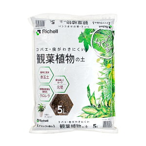 |{y@b`F@ŇbR@ϗtA̓y@5L@RoG΍@֓