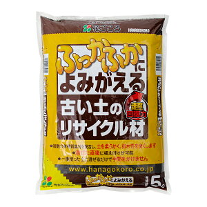 Ԃ@ӂӂɂ݂@ÂỹTCNށ@5L@֓