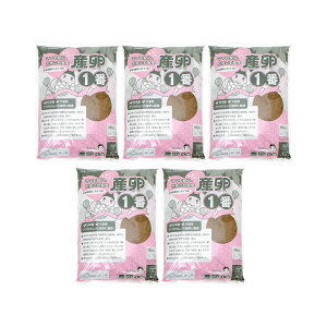 Yԁ@10bg@}bg@NK^@Yp@Y1×5܁@֓