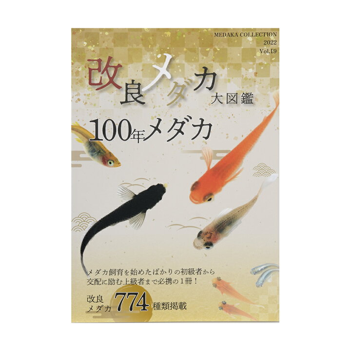楽天市場 改良メダカ大図鑑 100年メダカ vol 19 関東当日便 Charm 楽天市場店 楽天市場 改良メダカ大図鑑 100年メダカ vol 19 関東当日便 Charm 楽天市場店