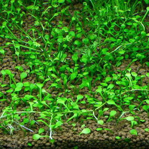 ijA@Ni^@EH[^[N[o[iC{CXjitji_ji3j