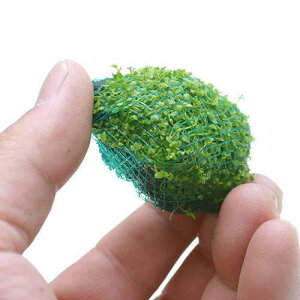 ijā@L[op[{[itji_ji3j