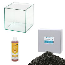 楽天市場】3L（水槽セット｜水槽・アクアリウム）：熱帯魚 