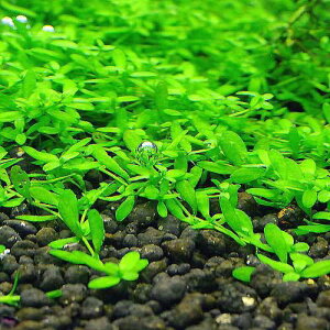 ijĎY~YnRxitji_ji10{j