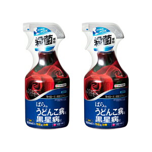 ZFw|@}C[Y@EۃXv[@950ml×2@o@a@ǂ񂱕a@Eۍ܁@֓