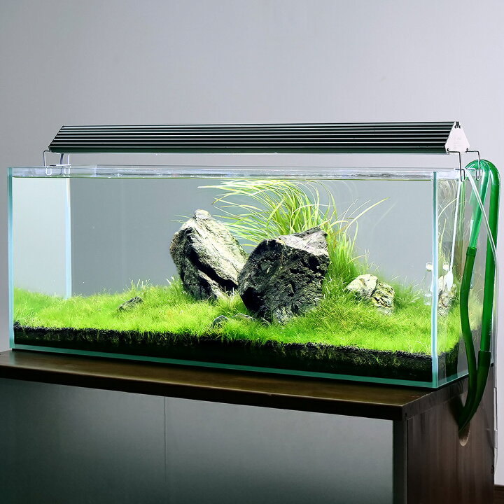 楽天市場 水草 水草の草原レイアウトセット ９０ｃｍスリム水槽フルセット 東日本用 ５０ｈｚ ２００サイズ 本州四国限定 Charm 楽天市場店