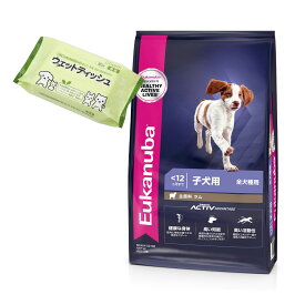 ドッグフード　ユーカヌバ　パピー　ラム＆ライス　800g　子犬用　全犬種用　〜12ヶ月まで　Eukanuba　ジップ付　＋　ウェットティッシュおまけ付　関東当日便