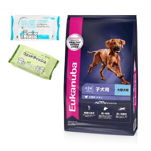 hbOt[h@[Jko@[W@ps[@7D5kg@qp@^p@`24܂Ł@Wbvt@EFbgeBbV2킨܂t@֓