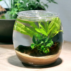 ijGEX@OXANAhbv@N@`iiv`~N\Eƃx^̐E`@{Bl