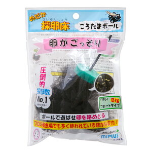 ~vX@낽܃{[@߂̗@TYPE|C@t[g^Cv@rbO@1@֓