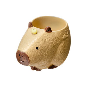 @gW|bg@Jso@1|bgp@Jo[@֓