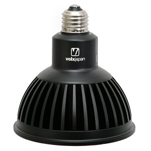 {NXWp@Grassy@LeDio@RX122s@Reef@B^[t@@֓