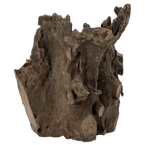 J~n^@^CYVR؁@n[tc[{gEbh@XL@22×17×32cm@eE@p_E@ANAE@@֓