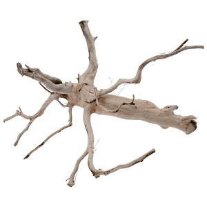 カミハタ タイ産天然流木 ブランチウッド L 約48×38×38cm アクアリウム テラリウム パルダリウム 水槽 関東当日便