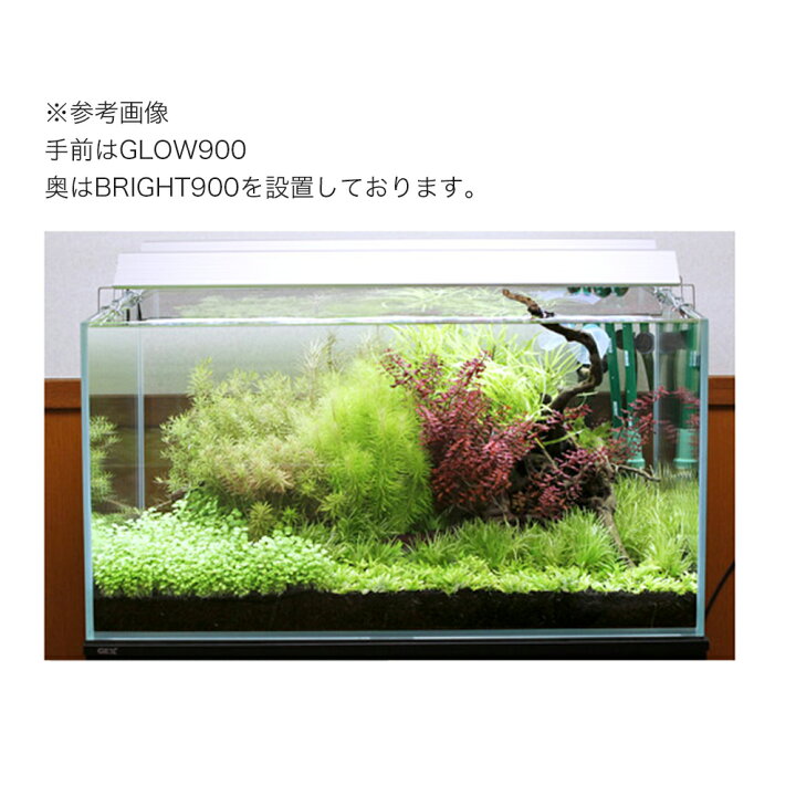 楽天市場】アクロ TRIANGLE LED GROW 900 