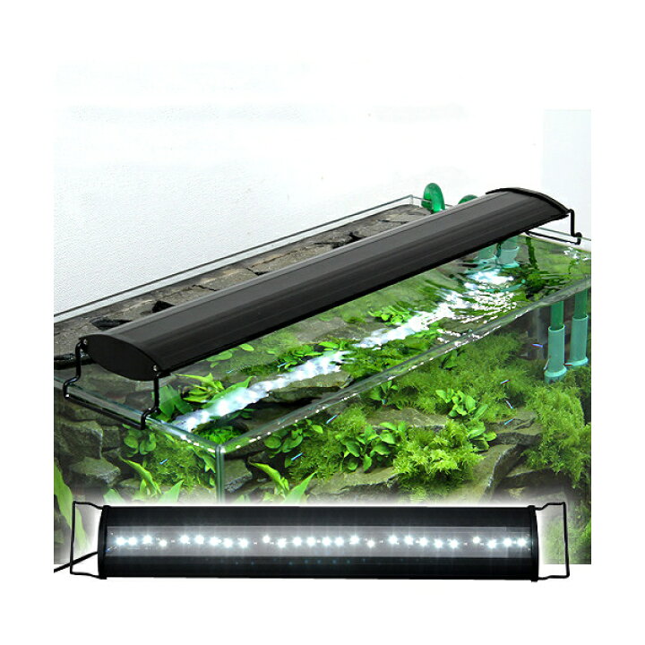楽天市場 アクロ ｏｖａｌブラック ｌｅｄ ６００ ３２５０ｌｍ ｂｒｉｇｈｔ 水槽 照明 ライト 熱帯魚 アクアリウム 沖縄別途送料 関東当日便 Charm 楽天市場店