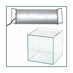 AN30N@OVAL@LED@300@1850lm@BRIGHT@Zbg@ll2_@Zbg@֓