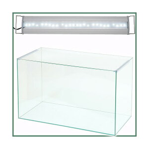 X[p[NA@AN60S@OVAL@LED@600@3250lm@BRIGHT@Zbg@ll1_@֓