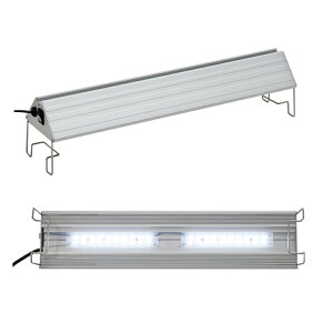 AN@TRIANGLE@LED@VIVID@450@琬@Ɩ@@Mы@ANAE@Cg@֓