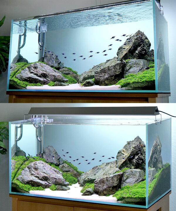 楽天市場】アクロ TRIANGLE LED VIVID 900 水草  