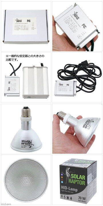 楽天市場】ゼンスイ ソーラーラプター HIDランプ 70W （70W 