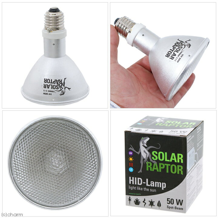 楽天市場】ゼンスイ ソーラーラプター HIDランプ 50W 交換球 