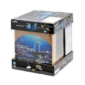 J~n^@CVXe@60Hz@{p@LrlbgȂ@Zbg@ll1_@֓