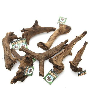 `󂨔C@R؁@i30`50cmj@1{@ll1_@ANAE@@֓