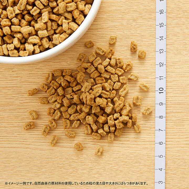 楽天市場】送料無料 ニュートロ ナチュラルチョイス 避妊・去勢犬用超小型犬〜小型犬用成犬用チキン&玄米 6kg スペシャルケア お一人様2点限り 沖縄別途送料 関東当日便 : charm 楽天市場店 楽天市場】送料無料 ニュートロ ナチュラルチョイス 避妊・去勢犬用超小型犬〜小型犬用成犬用チキン&玄米 6kg スペシャルケア お一人様2点限り 沖縄別途送料 関東当日便 : charm 楽天市場店