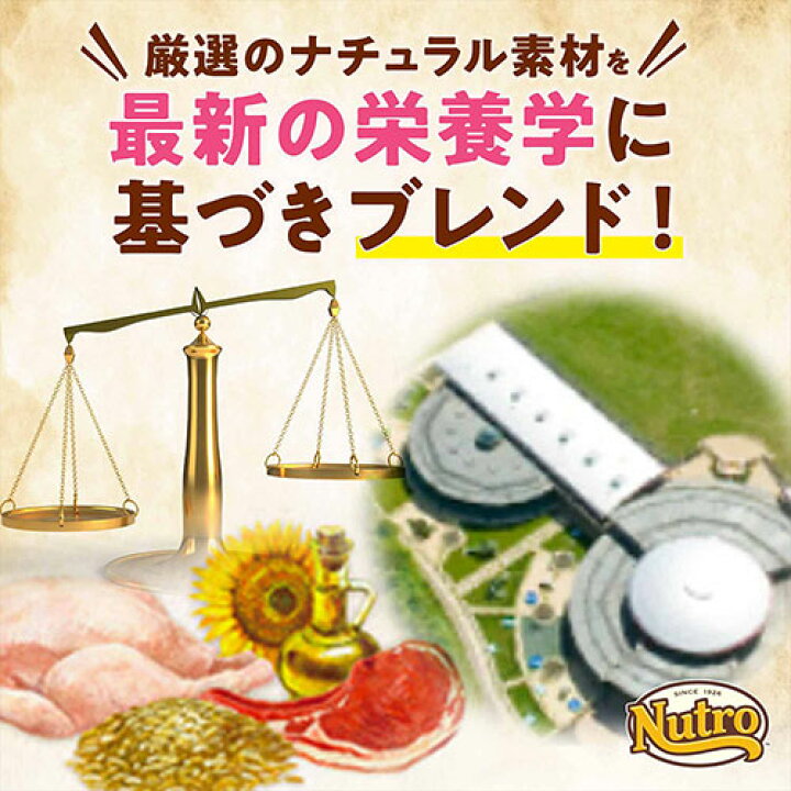 楽天市場】ニュートロ ナチュラルチョイス 室内猫用 アダルト チキン 2kg キャットフード お一人様5点限り POM_D 関東当日便 : charm 楽天市場店 楽天市場】ニュートロ ナチュラルチョイス 室内猫用 アダルト チキン 2kg キャットフード お一人様5点限り POM_D 関東当日便 : charm 楽天市場店