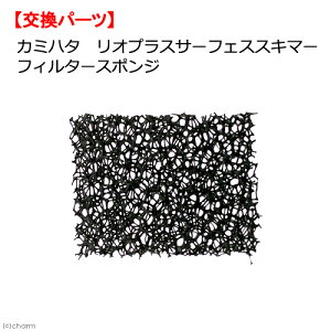 J~n^@IvX@T[tFXXL}[p@tB^[X|W@֓