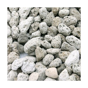 NoD121@WhiteVolcano@3bg@ށ@΁@ll10_@֓