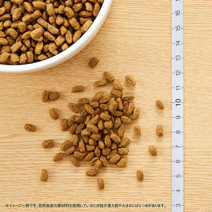 楽天市場】ニュートロ シュプレモ 子犬用 小粒 1kg お一人様5点 