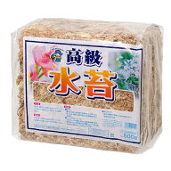 水苔　チリ産　高級　500g　関東当日便
