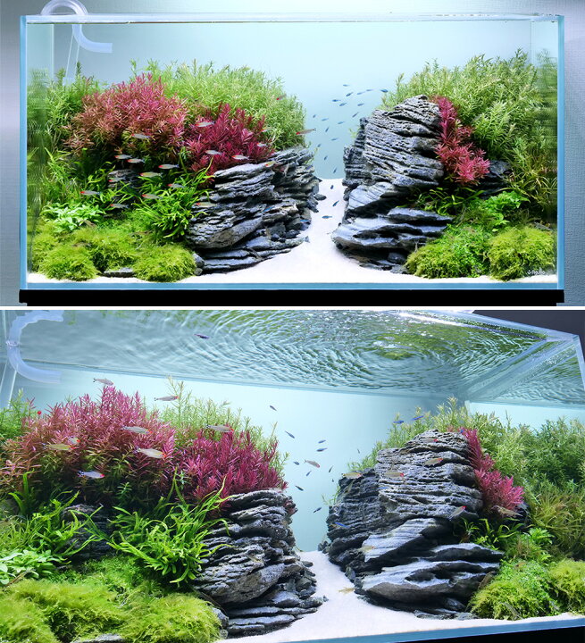 楽天市場】アクロ TRIANGLE LED VIVID 1200 水草  