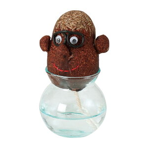 hair@LABO@pp@͔|Lbg@֓