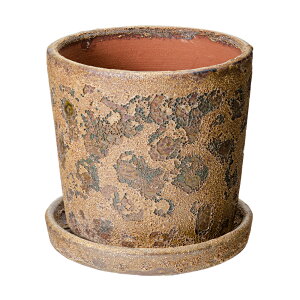 Jo[@n[@6@J[L@ꌊ@󂯎Mt@ϗtA@Aؔ@@֓