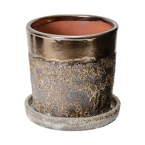 Jo[@n[@6@uY@ꌊ@󂯎Mt@ϗtA@Aؔ@@֓