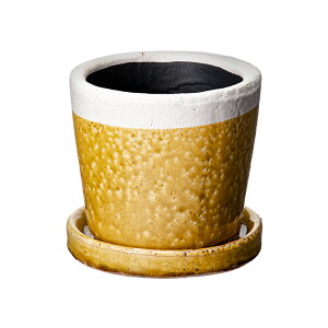 Jo[@N[p@4@@󂯎Mt@ϗtA@Aؔ@@֓